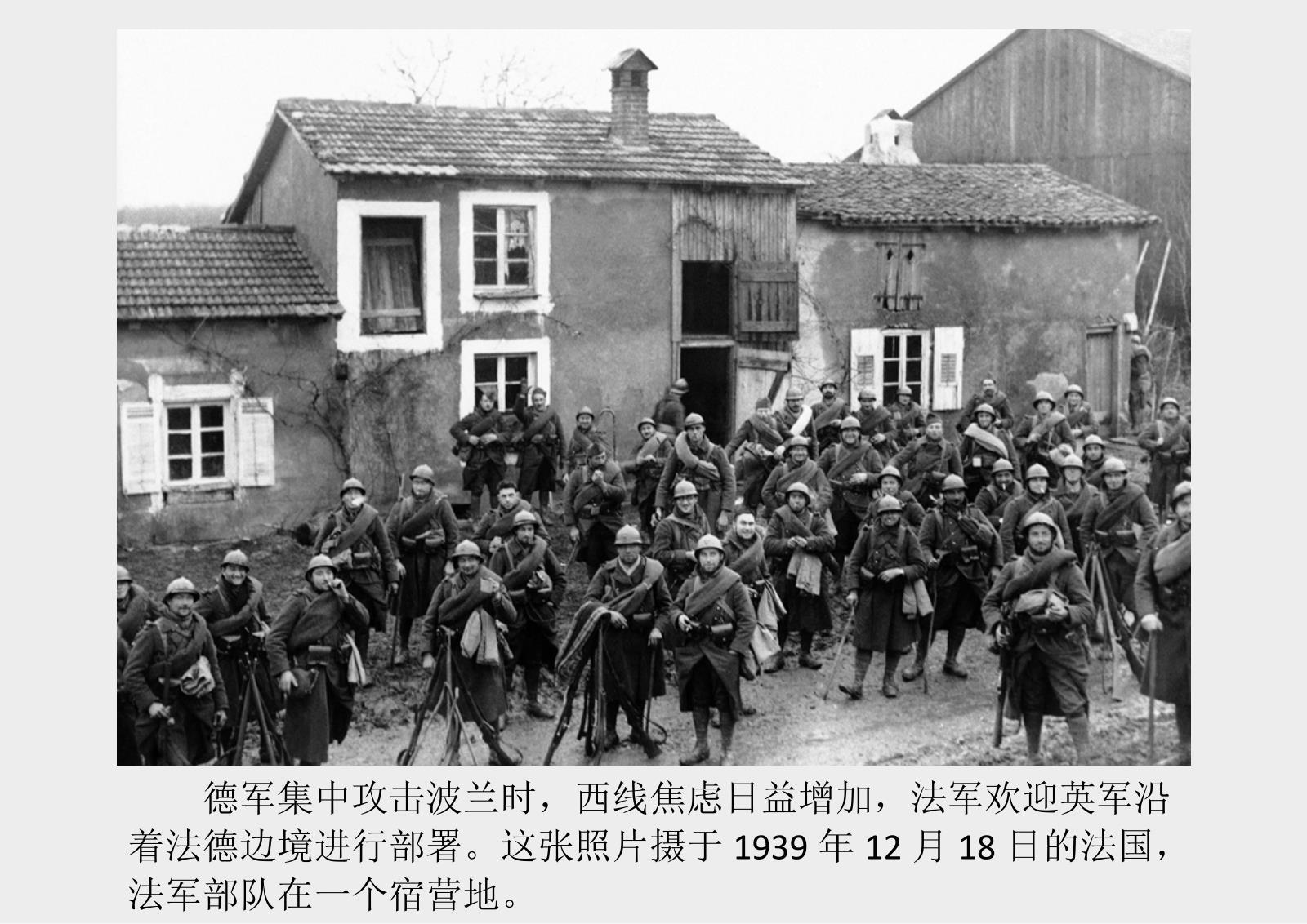 关于德国乒乓球队横扫波兰乒乓球队，水谷隼统治全场的信息