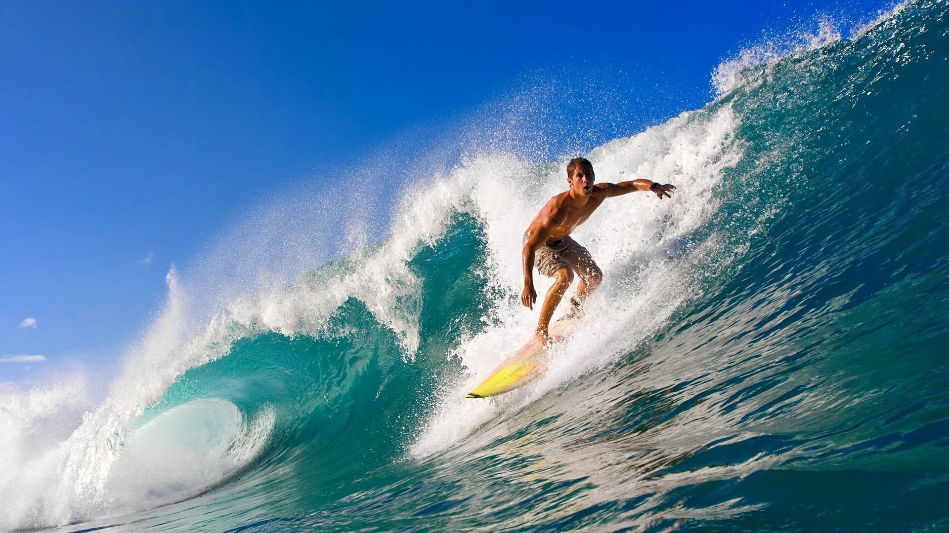 南美奇迹！厄瓜多尔绝杀荷兰，努涅斯成为改写历史的关键先生